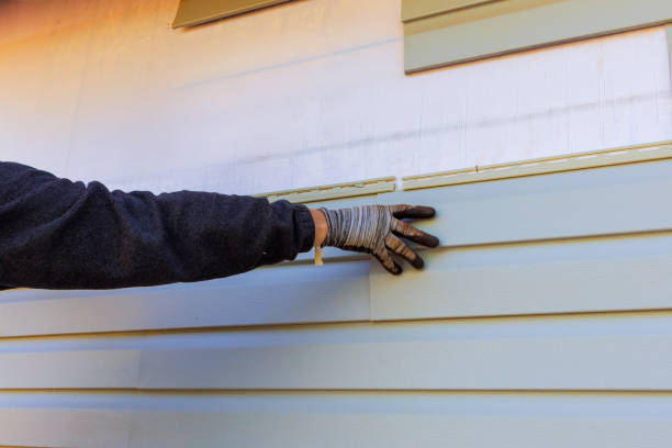 Best Custom Trim and Detailing for Siding  in Delft Colony, CA